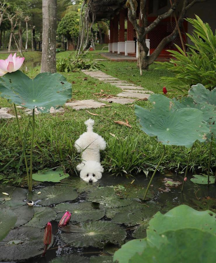 Les Hameaux De L'Orient Hotel Ho Chi Minh-stad Buitenkant foto