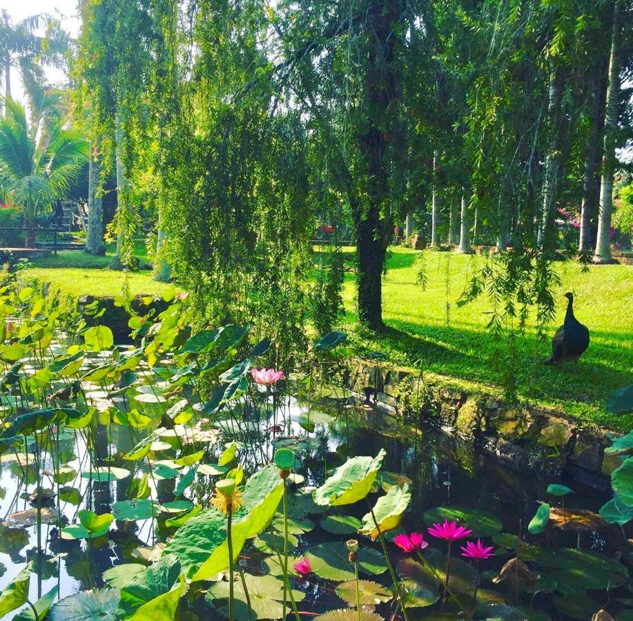 Les Hameaux De L'Orient Hotel Ho Chi Minh-stad Buitenkant foto